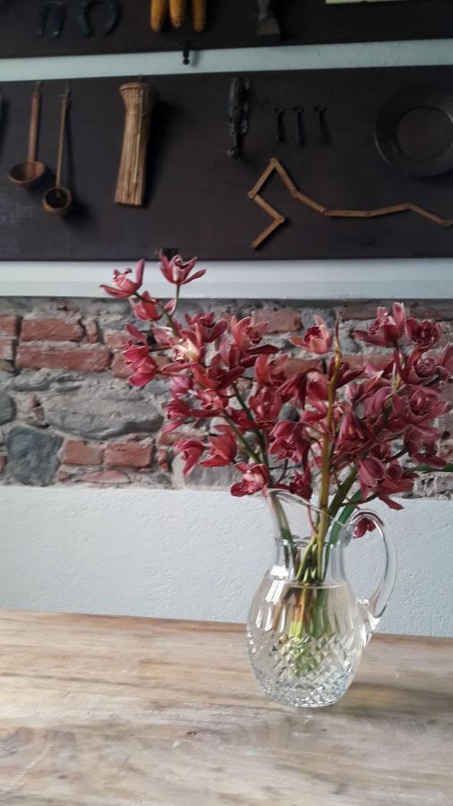 Langhe Di Liguria B&B Piana Crixia Dış mekan fotoğraf
